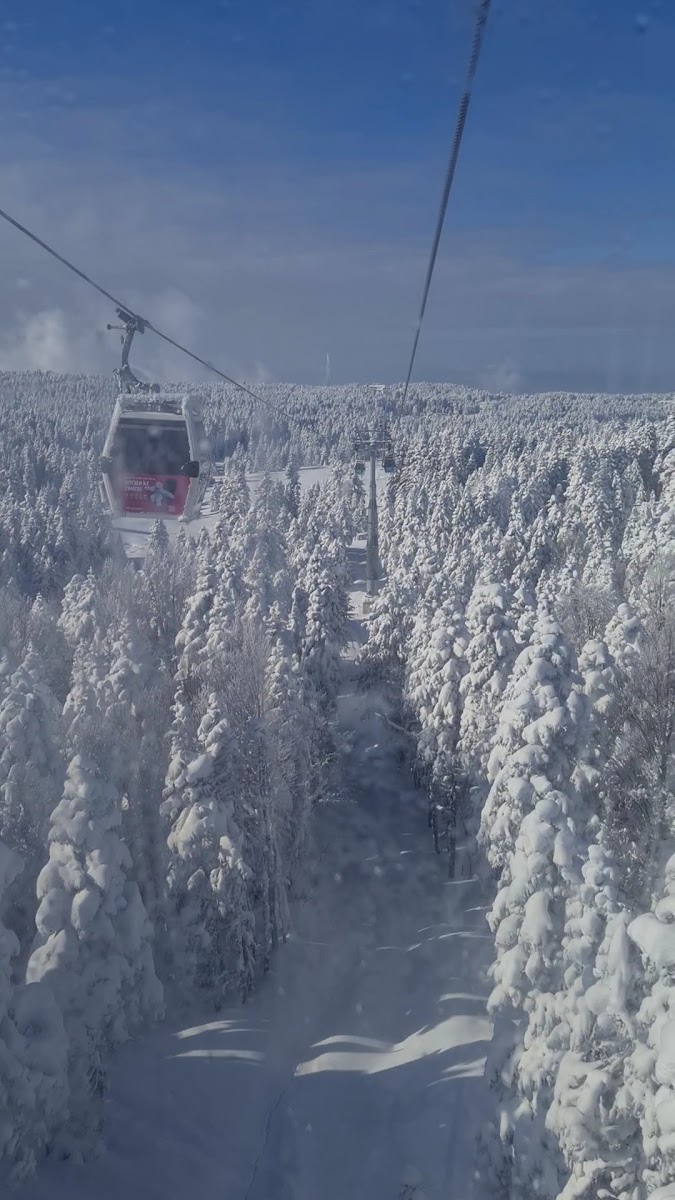Teleferik — photo 3