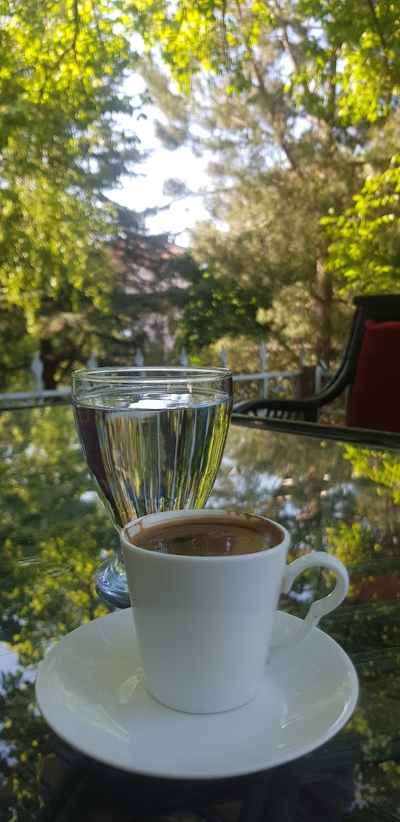 Temenyeri Parkı — fotoğraf 4