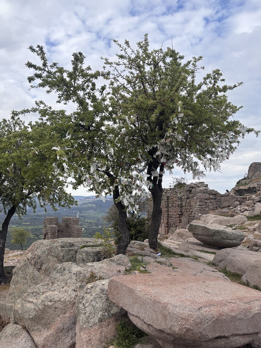 Temple of Athena — fotoğraf 2