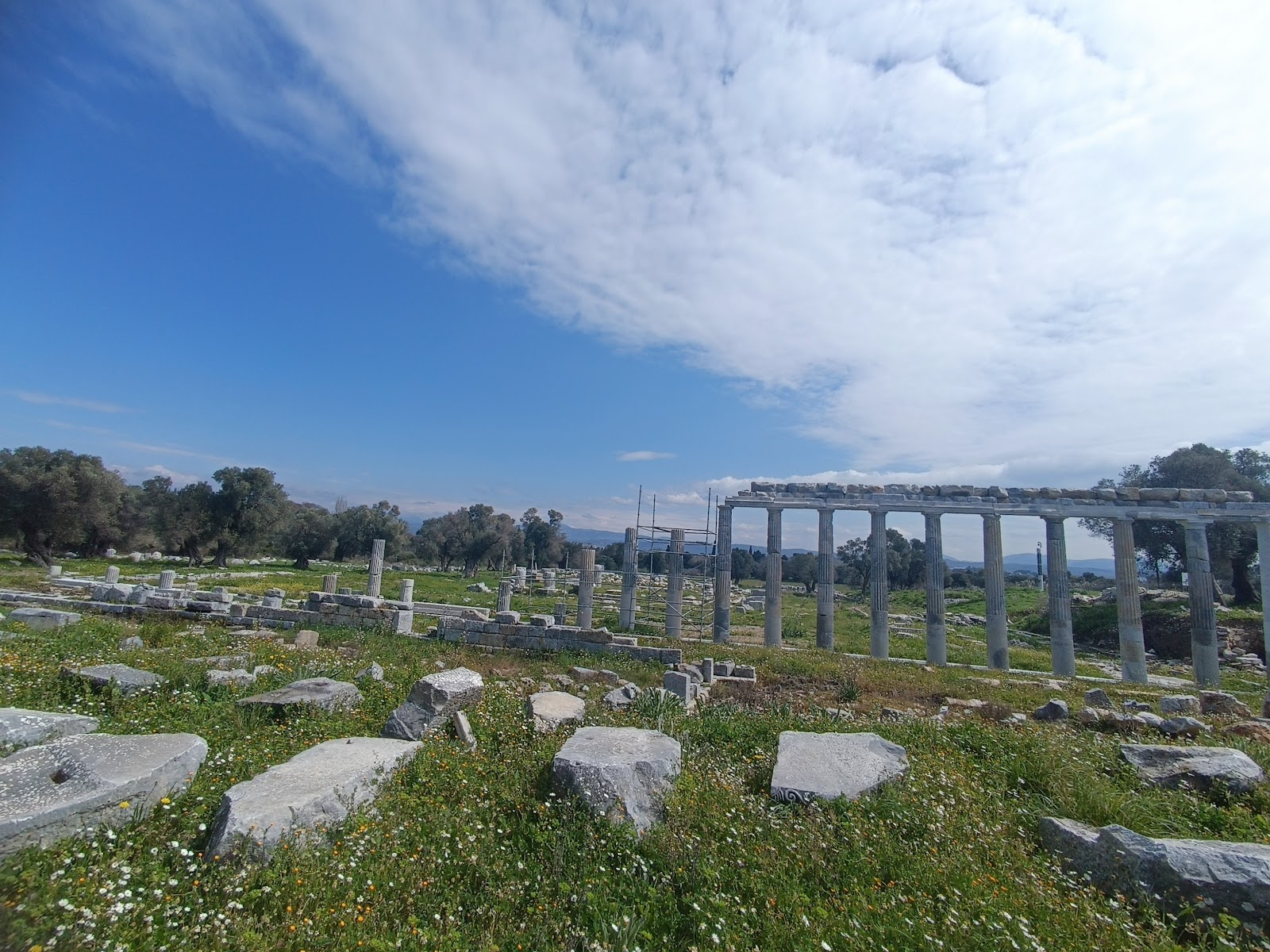 Teos Antik Kenti — fotoğraf 2