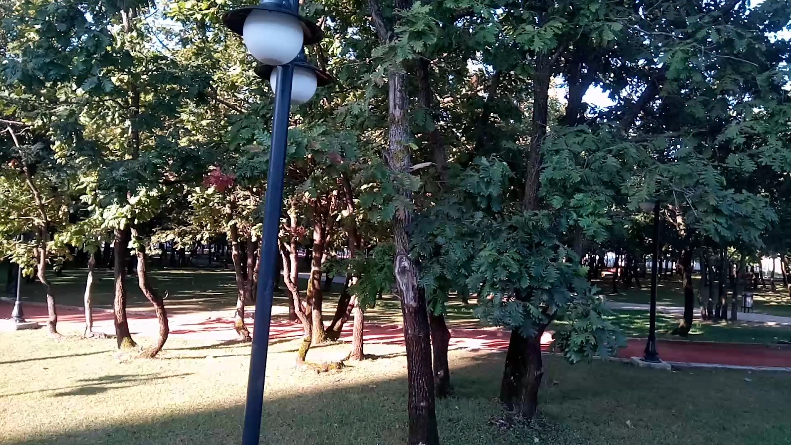 Tepe Piknik Alanı — fotoğraf 2