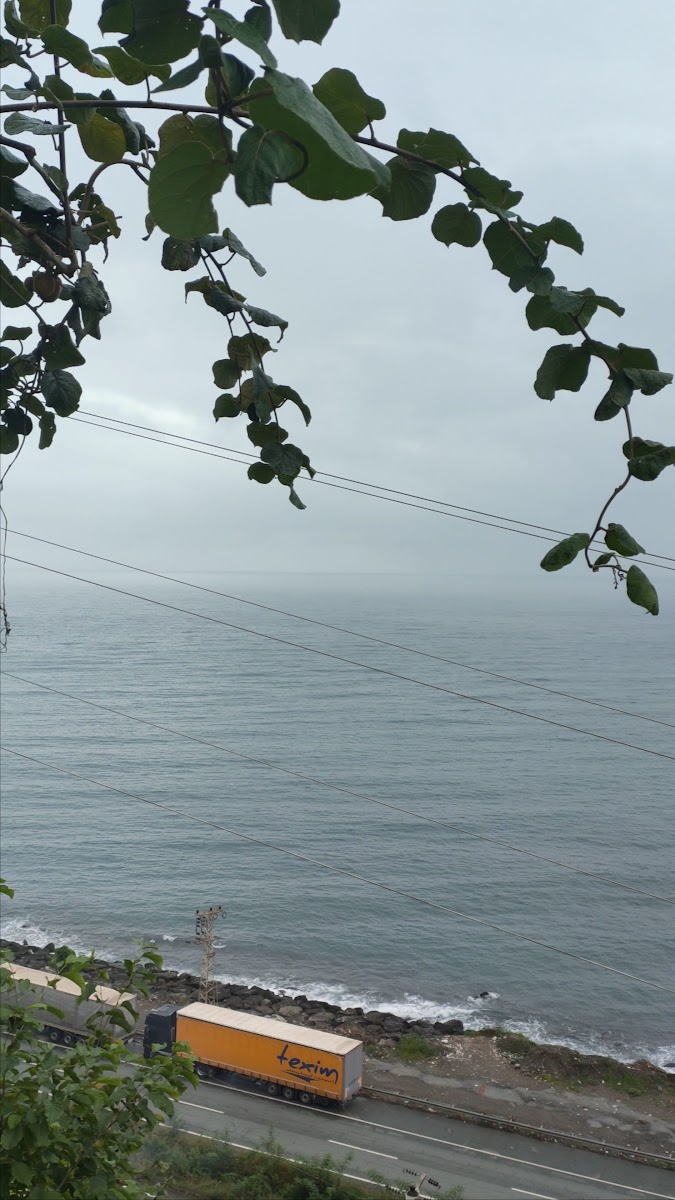 Tepe Restorant — fotoğraf 3