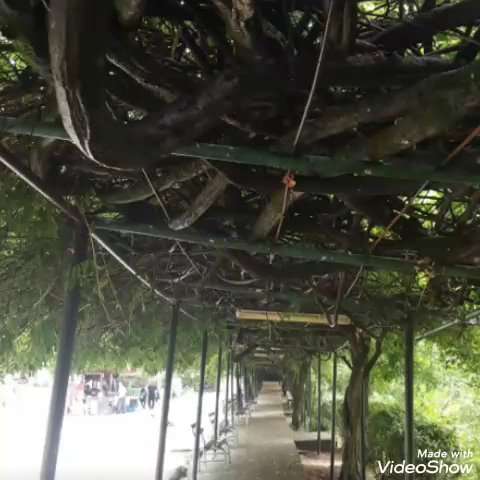 Termal Elit Hotel — fotoğraf 3