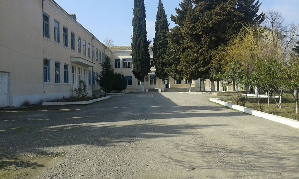 Terter — photo