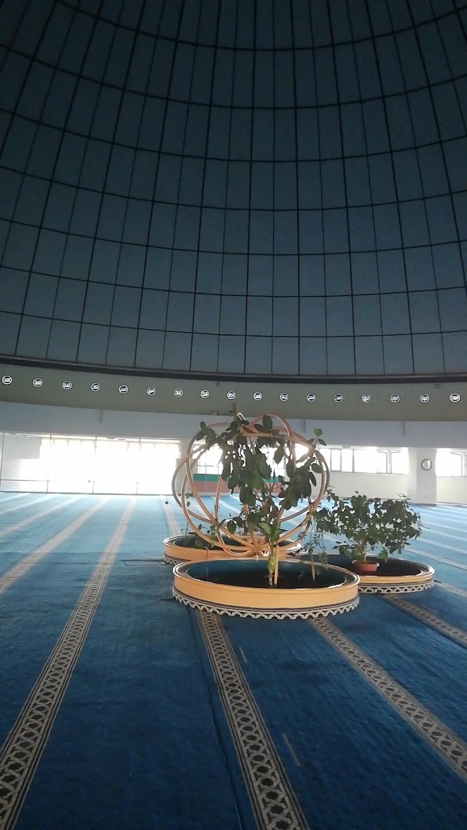 Terzibaba Cami-i Ve Külliyesi — fotoğraf 3