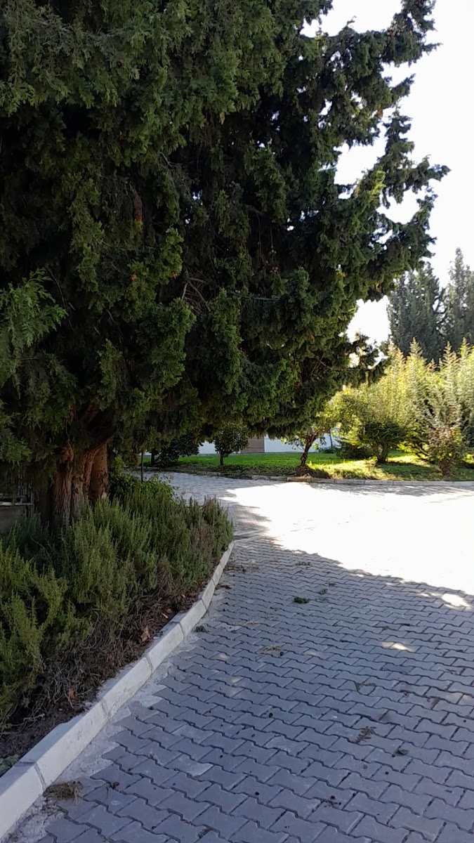 Okü sosyal tesisler — fotoğraf 2