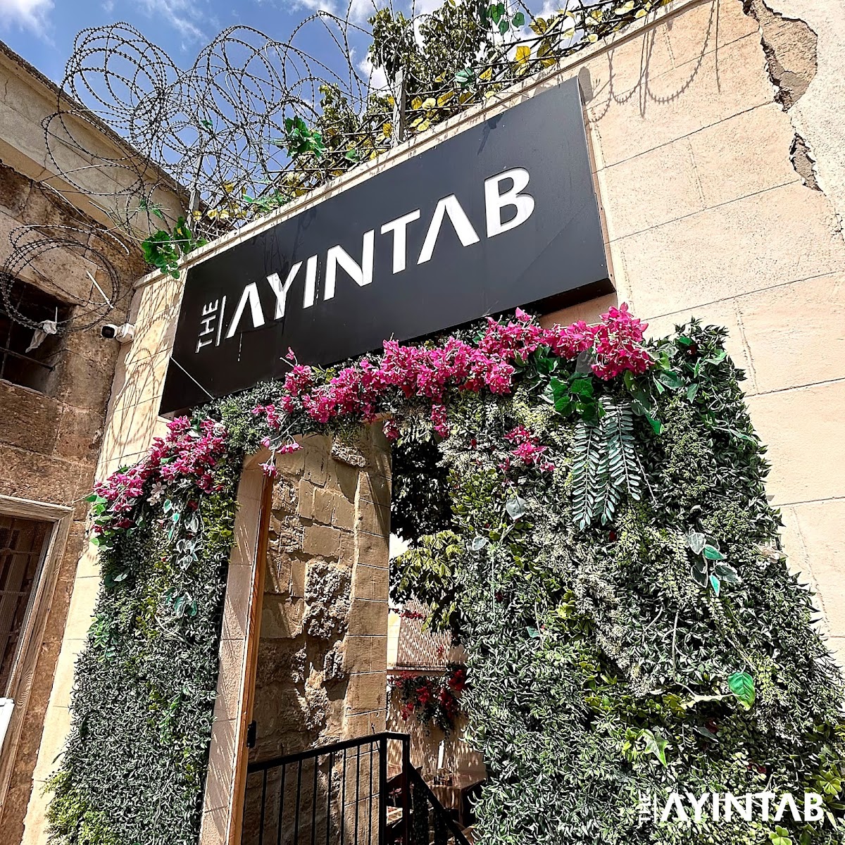 The Ayıntab Kahvaltı Konağı I Serpme Kahvaltı — photo 2