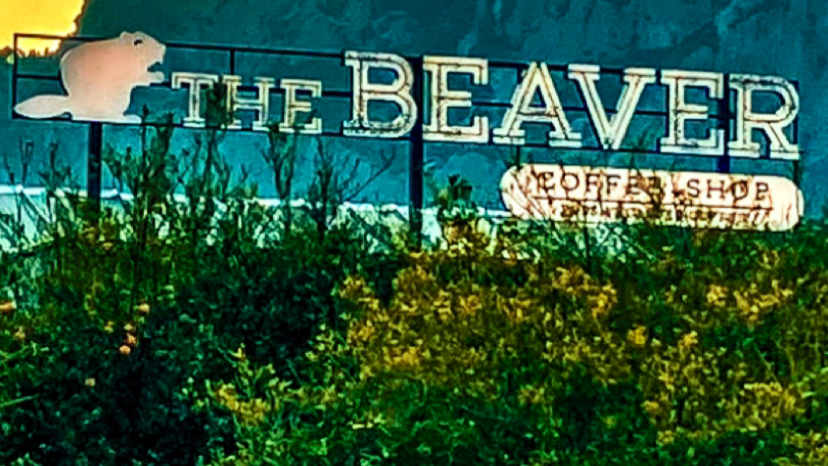The Beaver Coffee Shop Beaver Valley — photo 9