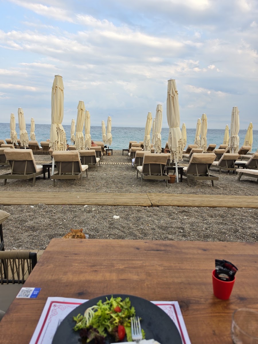 The Beaver Coffee Shop Kent Meydanı — photo 2