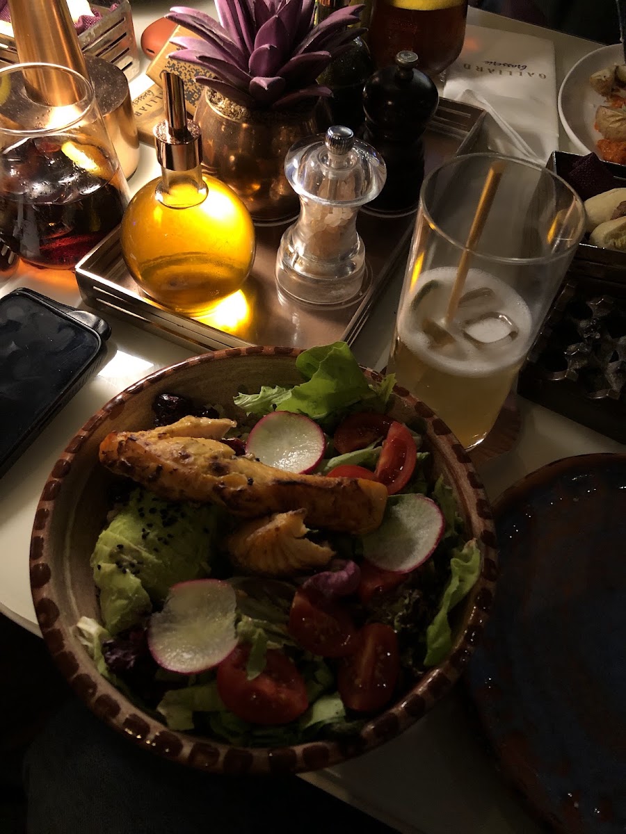 The GALLIARD — photo 2