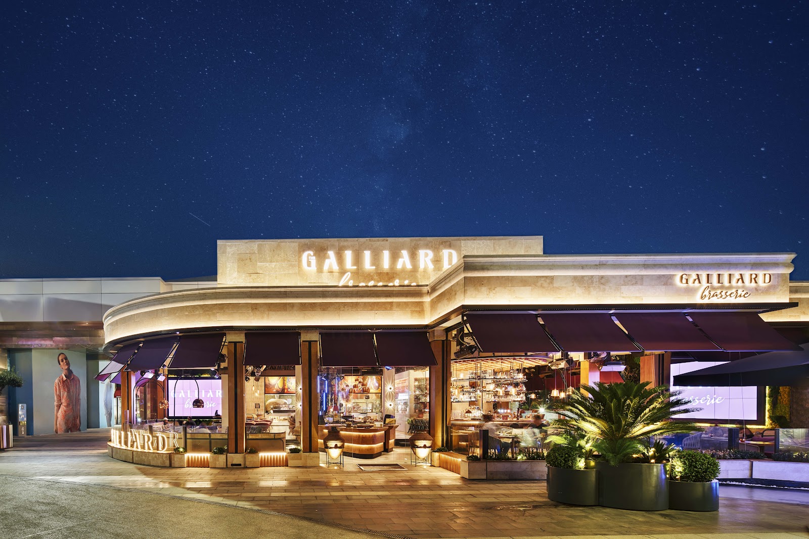 The GALLIARD — photo 10
