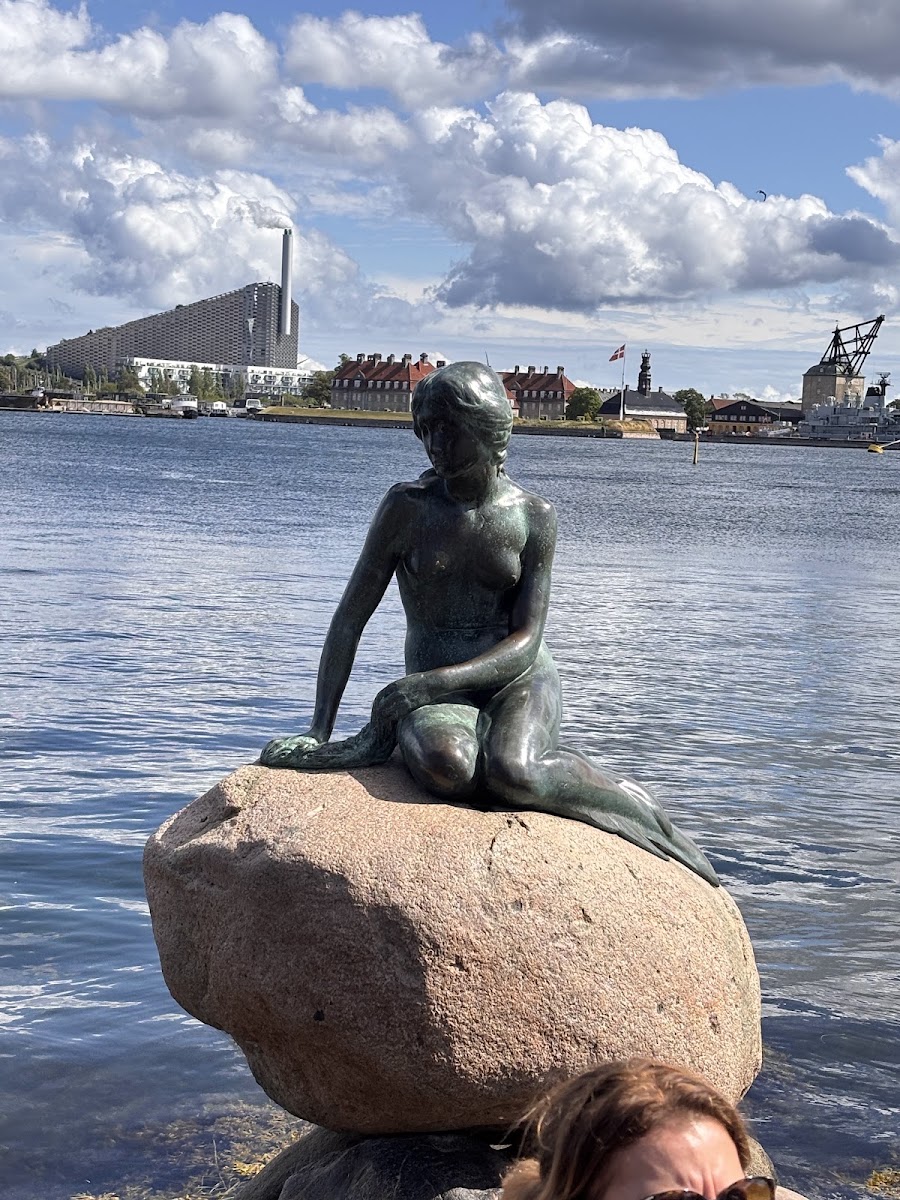 The Genetically Modified Little Mermaid by Bjørn Nørgaard — photo 2