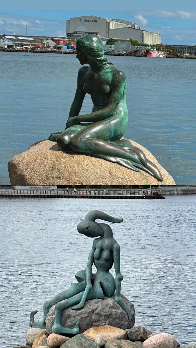 The Genetically Modified Little Mermaid by Bjørn Nørgaard — photo 4