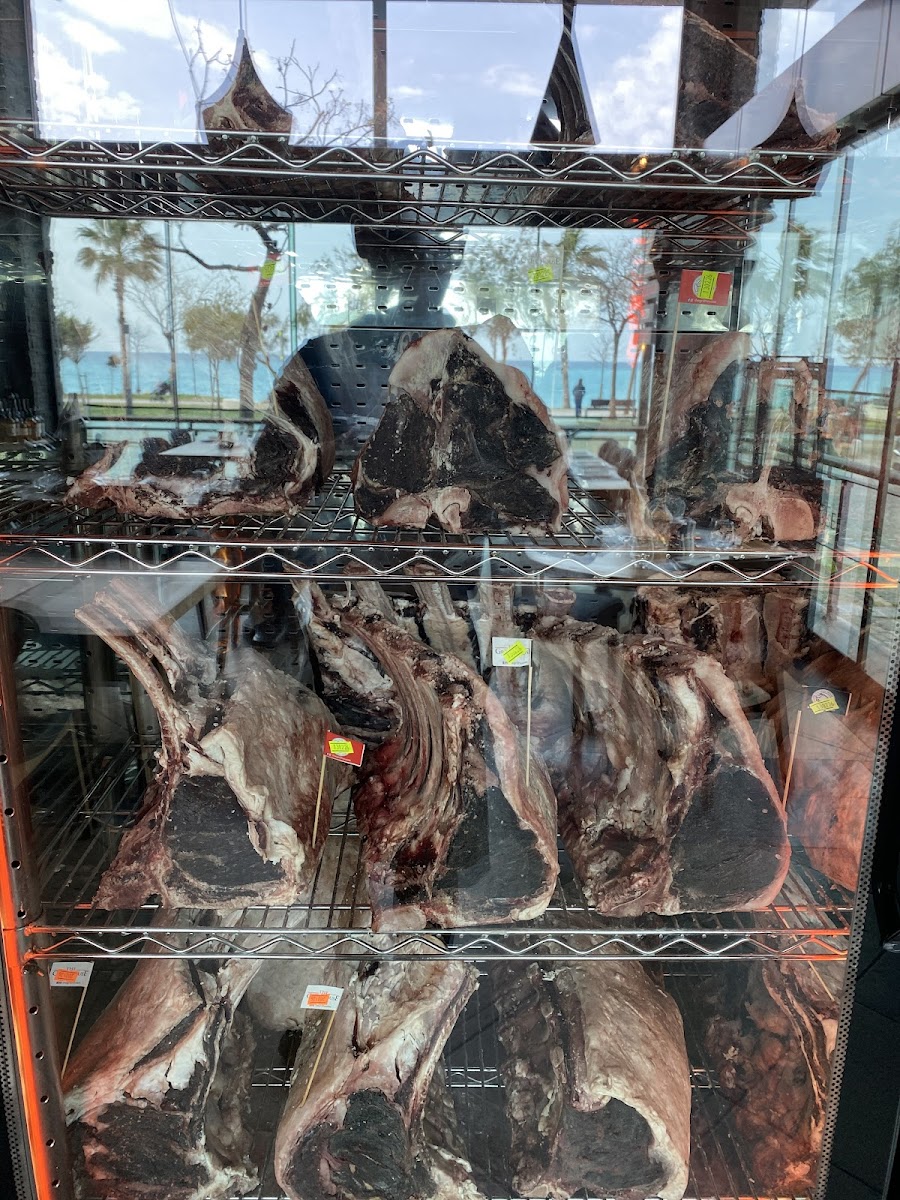 The Grill House — fotoğraf 2