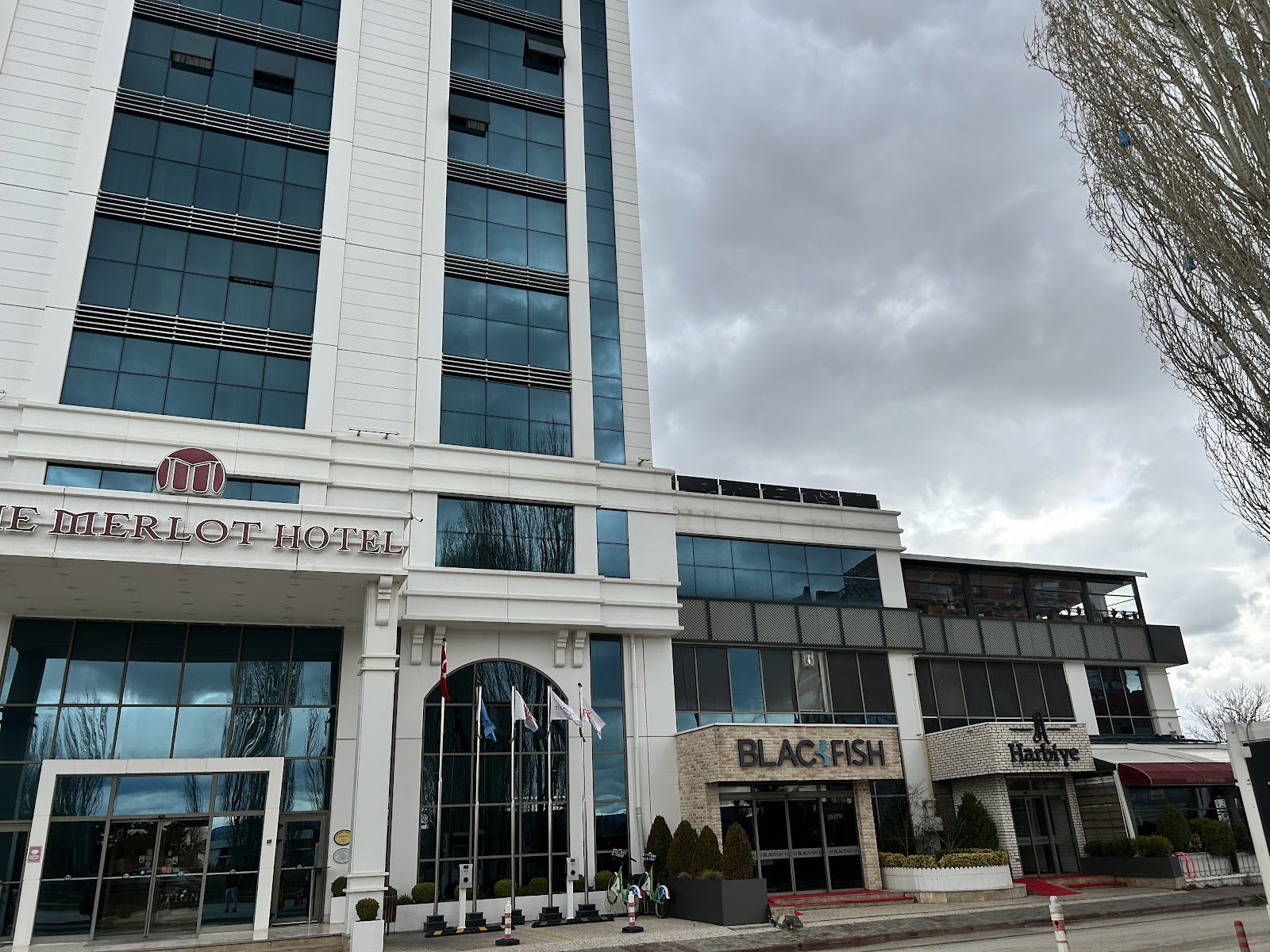 The Merlot Hotel — fotoğraf 4