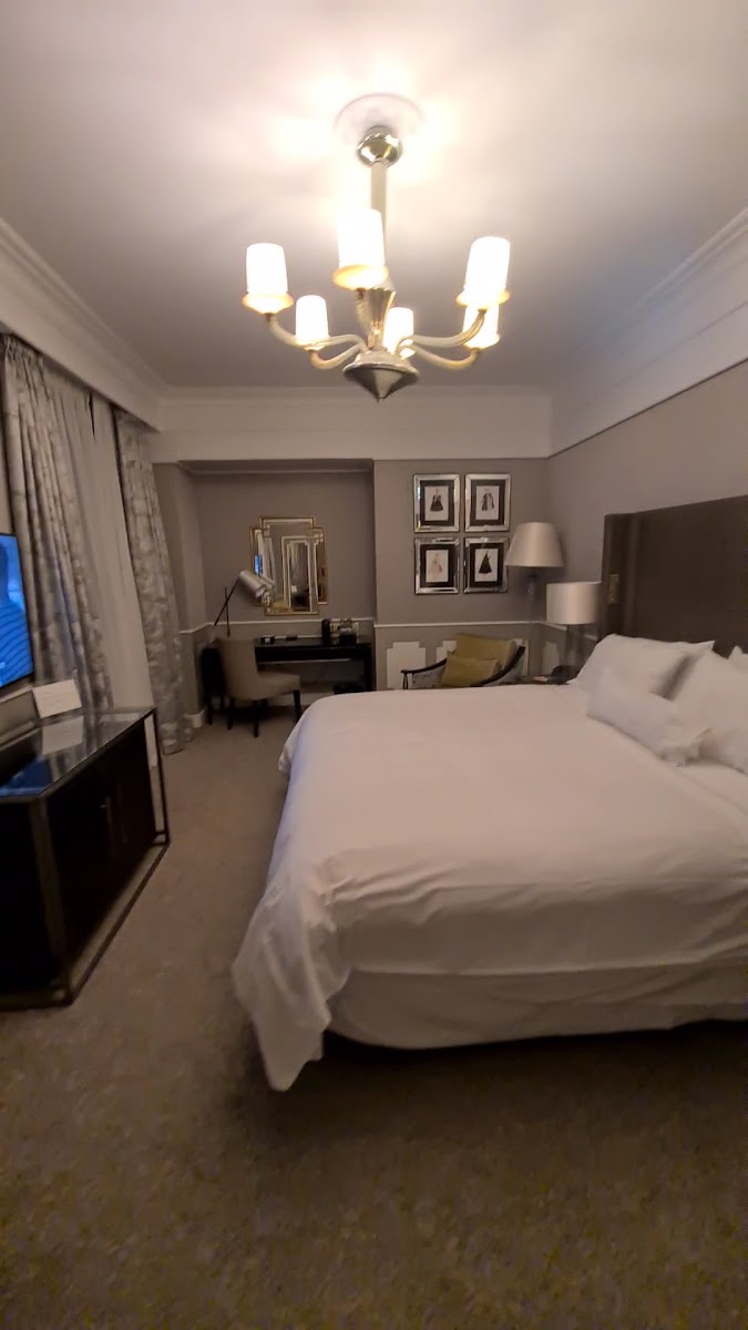 The Westin Palace — photo 3