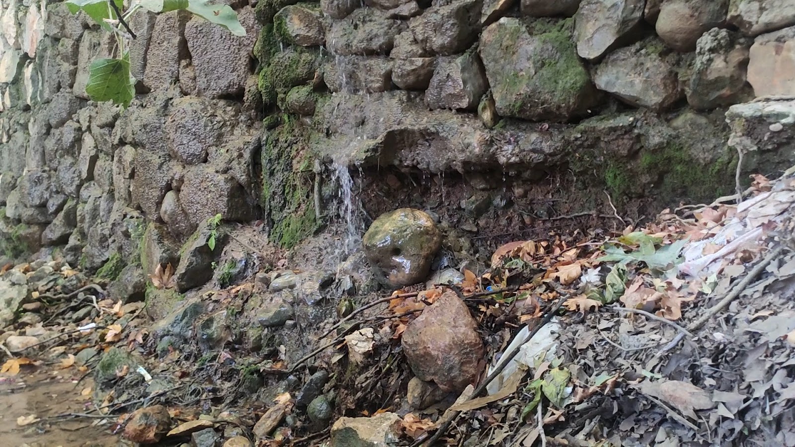 Tike Et Lokantasi — fotoğraf 3