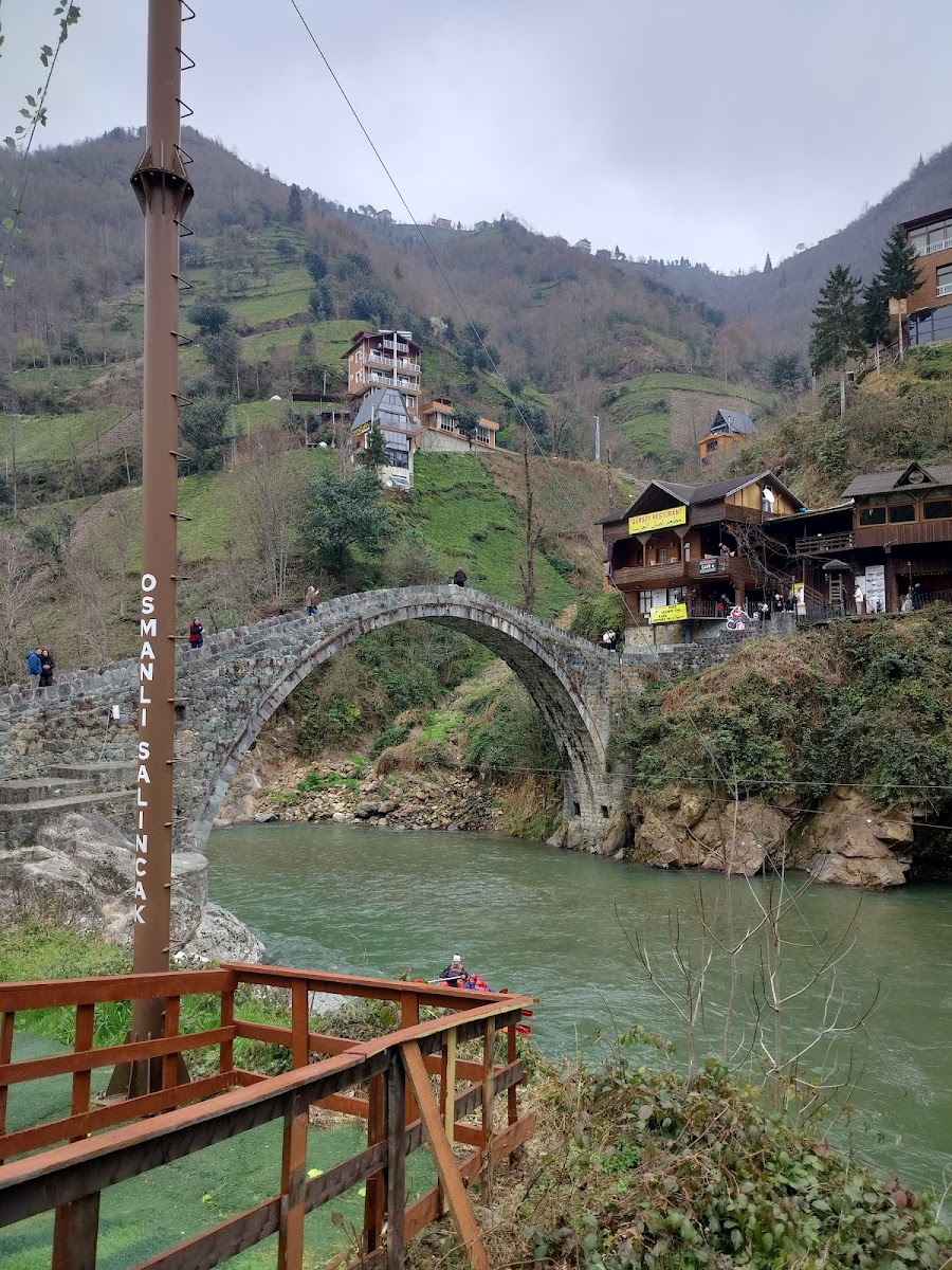 Timisvat Osmanlı Taş Kemer Köprüsü — fotoğraf 2
