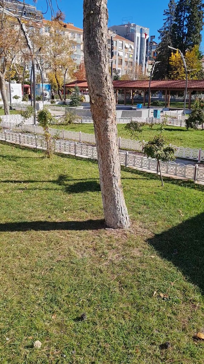Tiritoğlu Parkı — fotoğraf 2