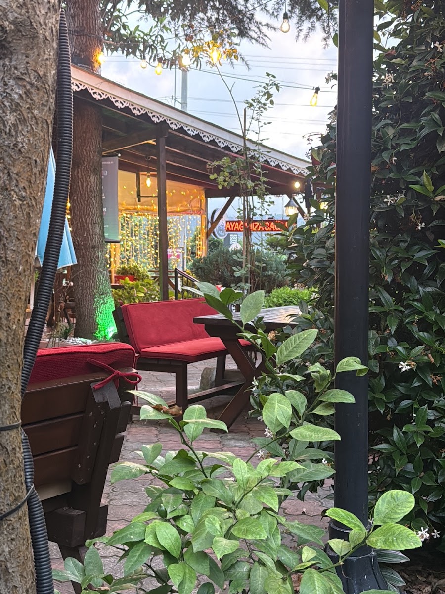 Tirzik Mangal evi — photo 3