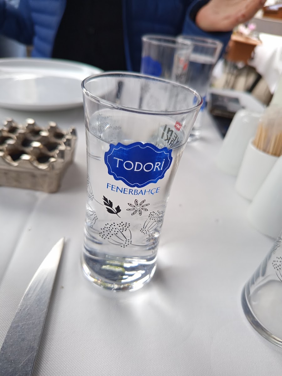 Todori Fenerbahçe — fotoğraf 2