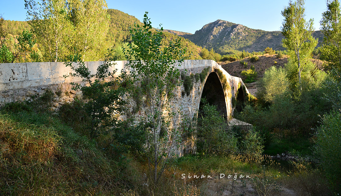 Tohumoğlu Köprüsü — fotoğraf