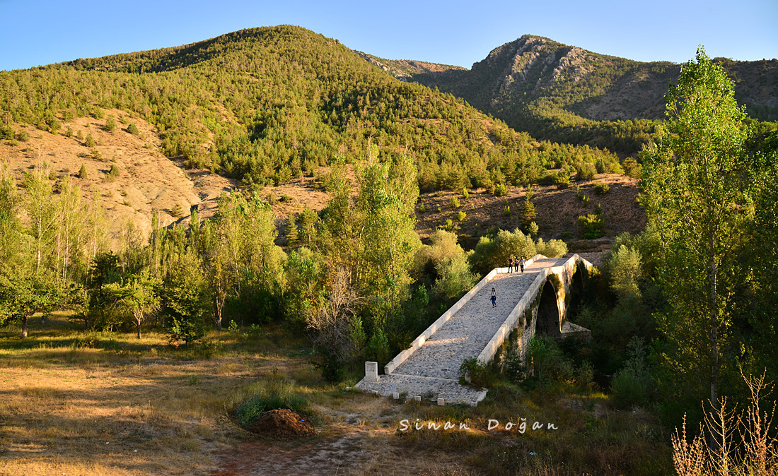 Tohumoğlu Köprüsü — fotoğraf 2
