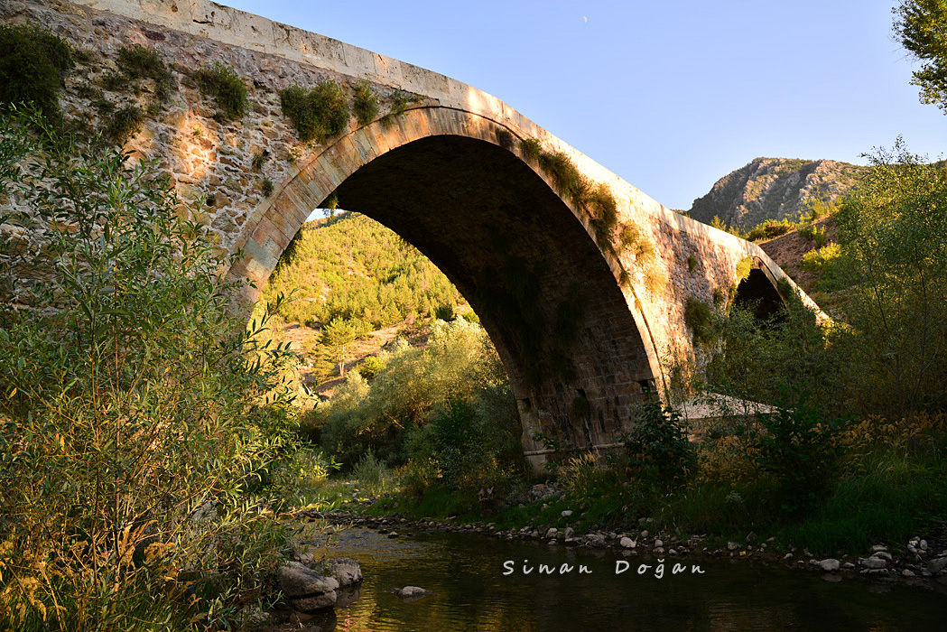 Tohumoğlu Köprüsü — fotoğraf 3