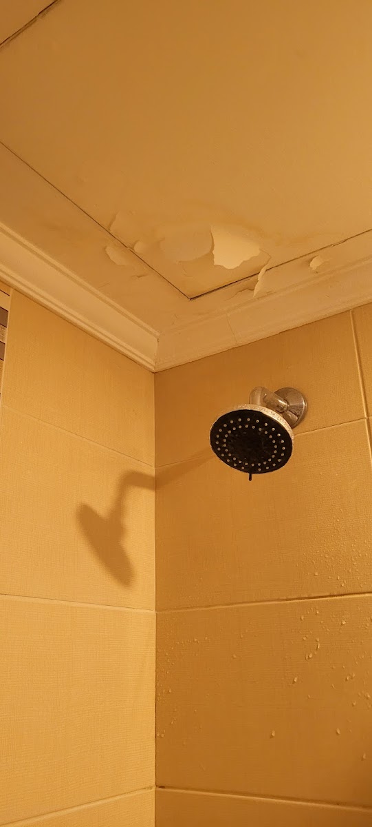TOKAT İNCİ RESORT OTEL — fotoğraf 2