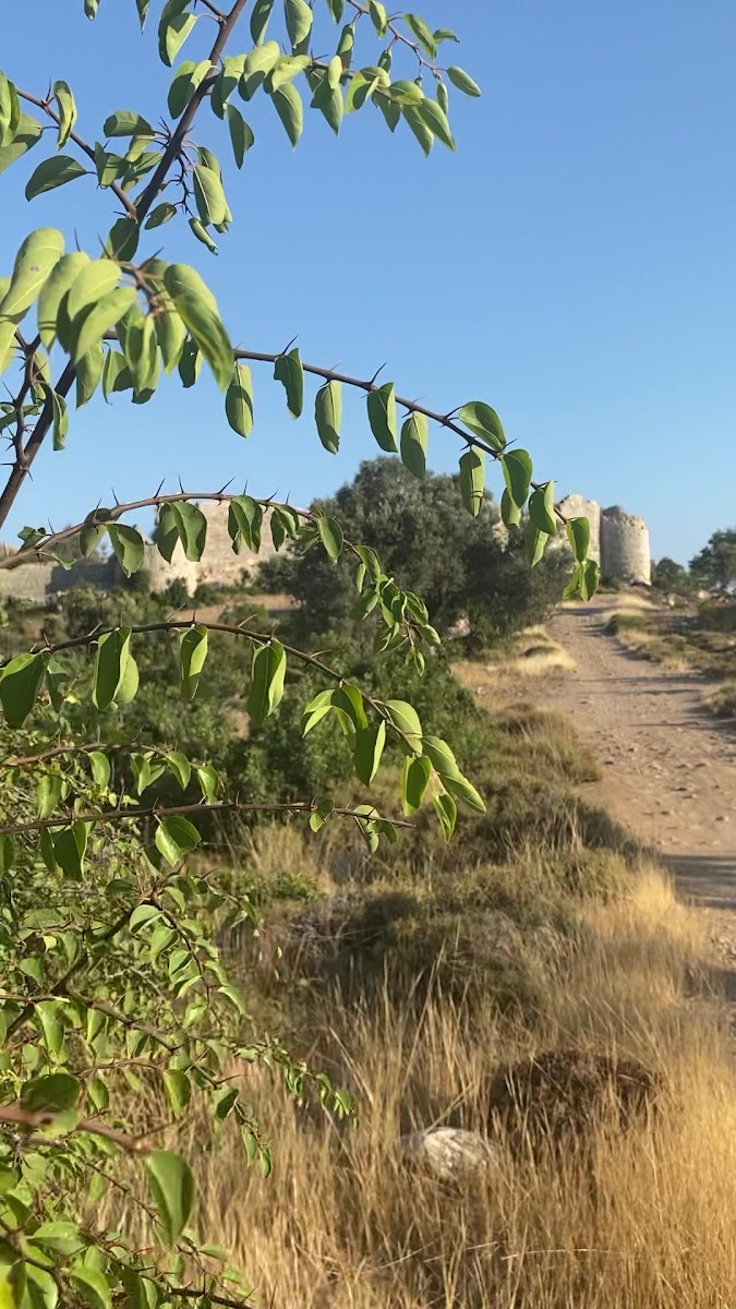 Tokmar Kalesi(Tokmar Castle) — photo 2