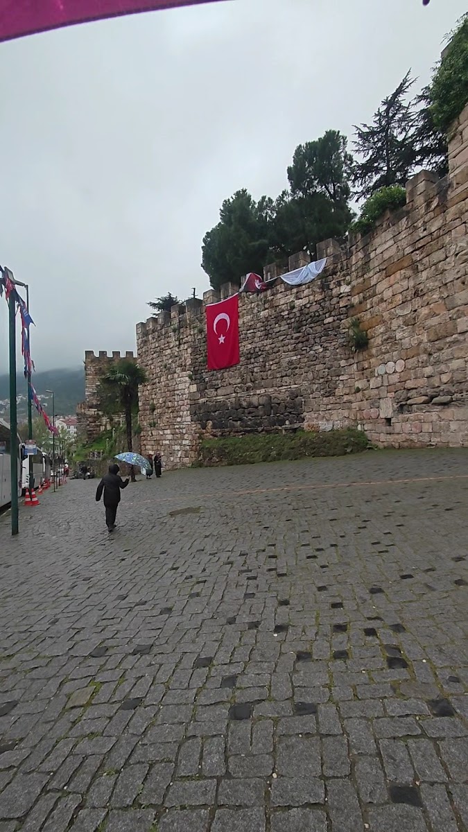 Tophane Surları — photo 2