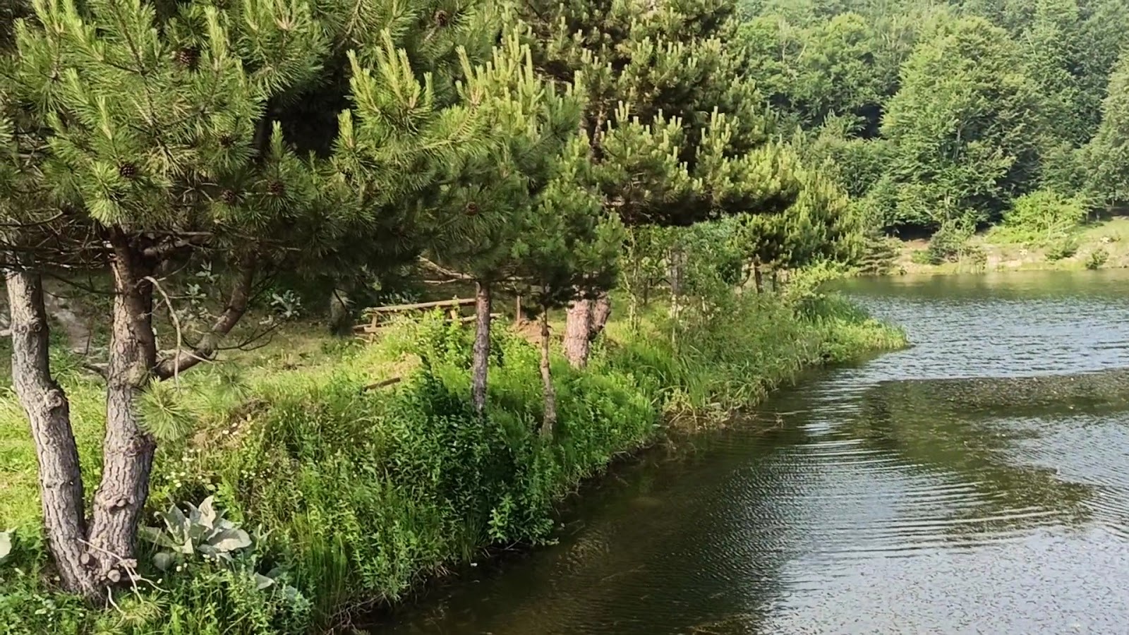 Topuk Yaylası Tabiat Parkı — fotoğraf 3