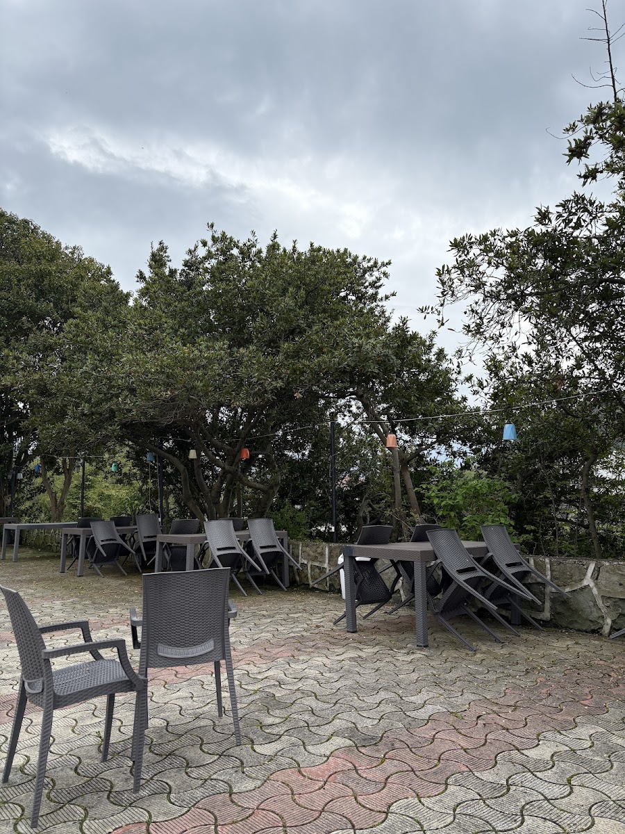 Torburnu Aile Çay Bahcesi — fotoğraf 4