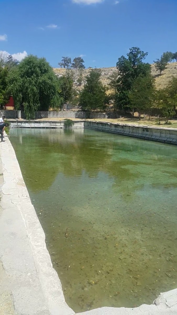 TOROSLAR AKPINAR ALABALIK RESTORANT — fotoğraf 3