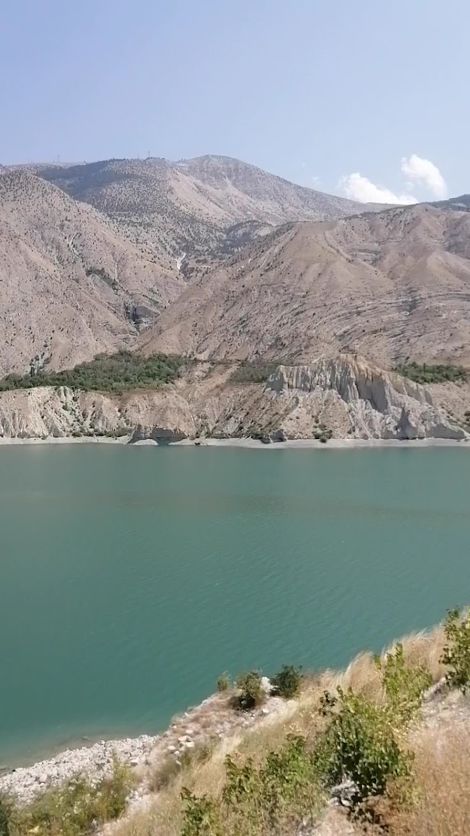 Tortum Gölü Şirince Tesisleri — fotoğraf 3