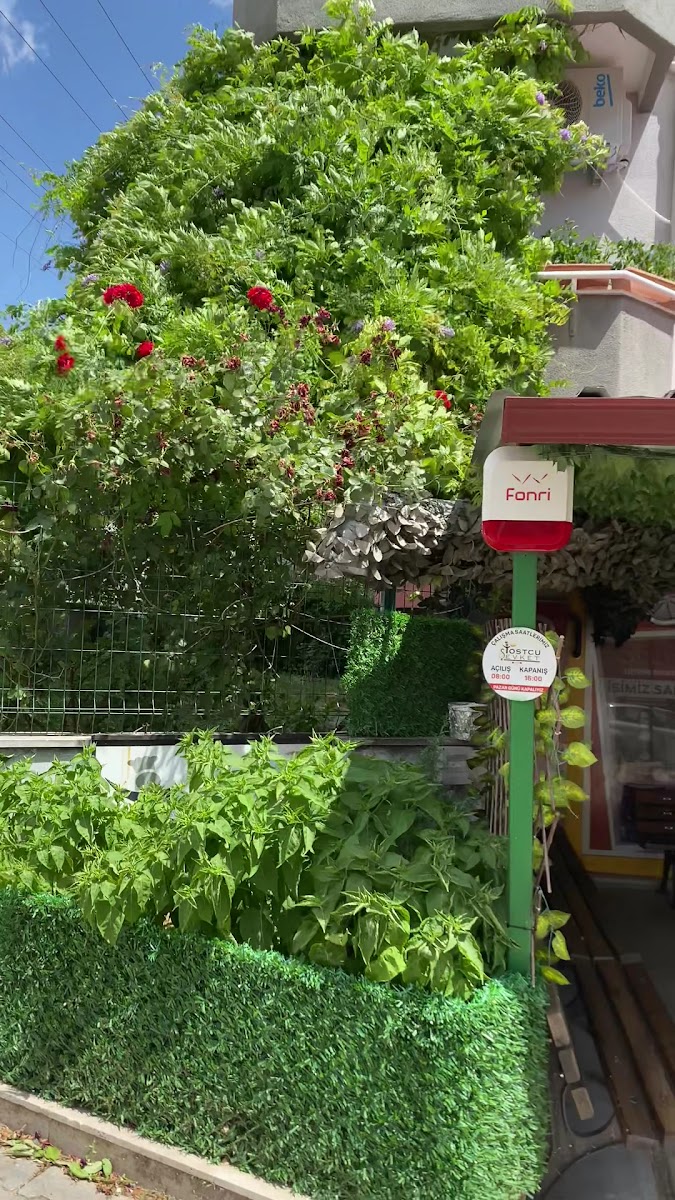 Tostçu Şevket — fotoğraf 3