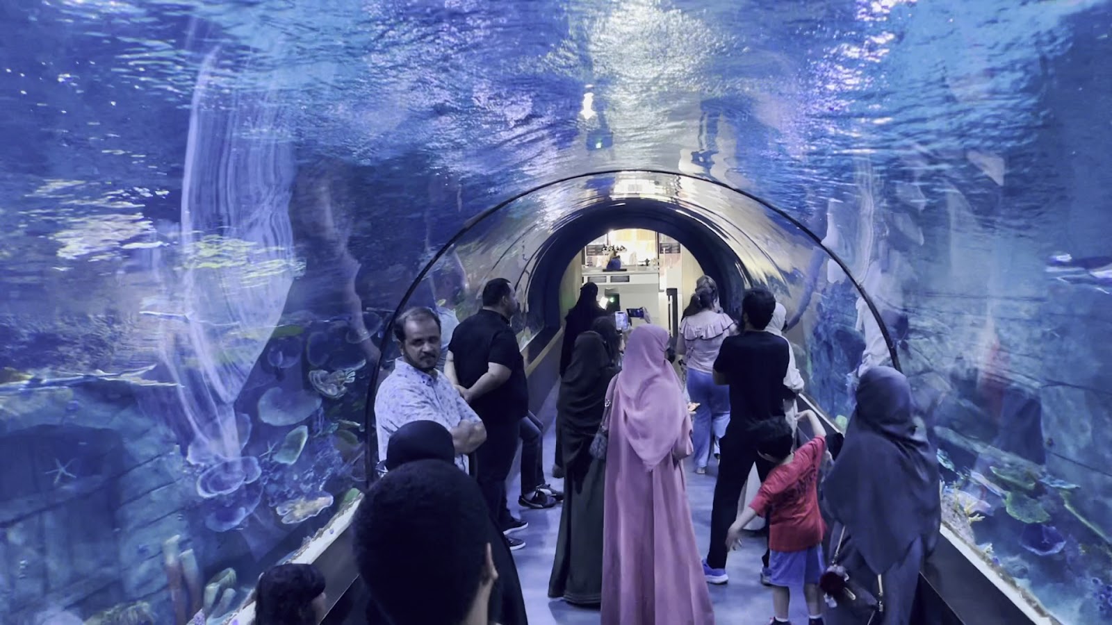 Trabzon Akvaryum — fotoğraf 3