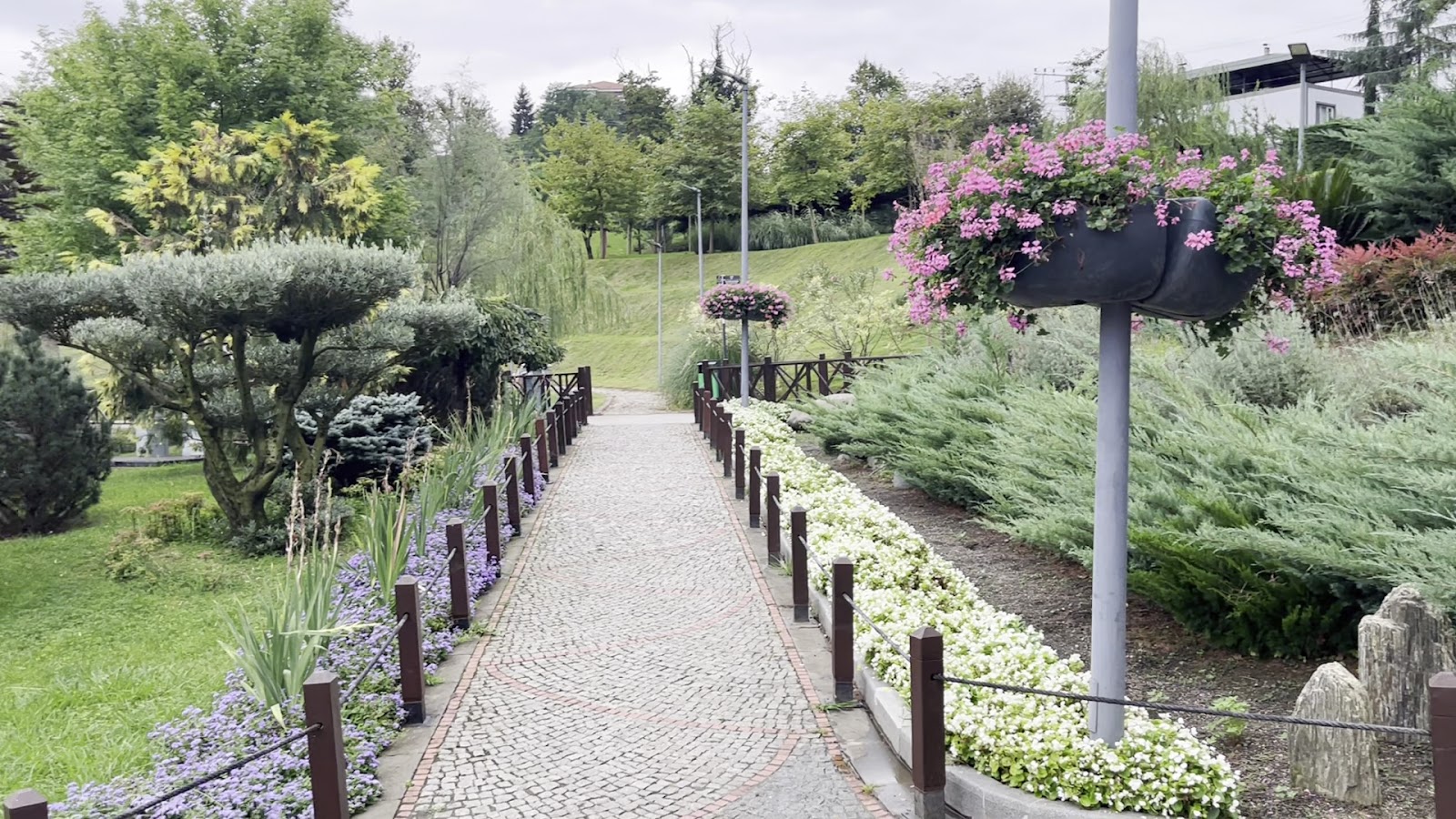 Trabzon Botanik Bahçesi — fotoğraf 4