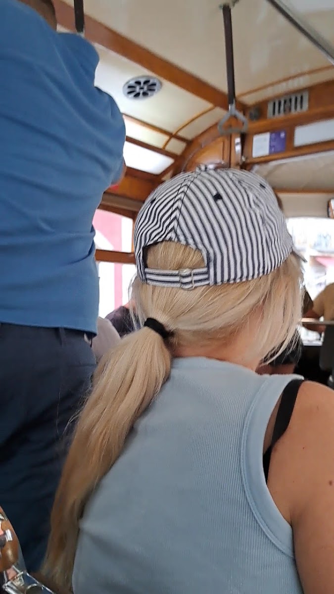 Tram 28 — photo 3