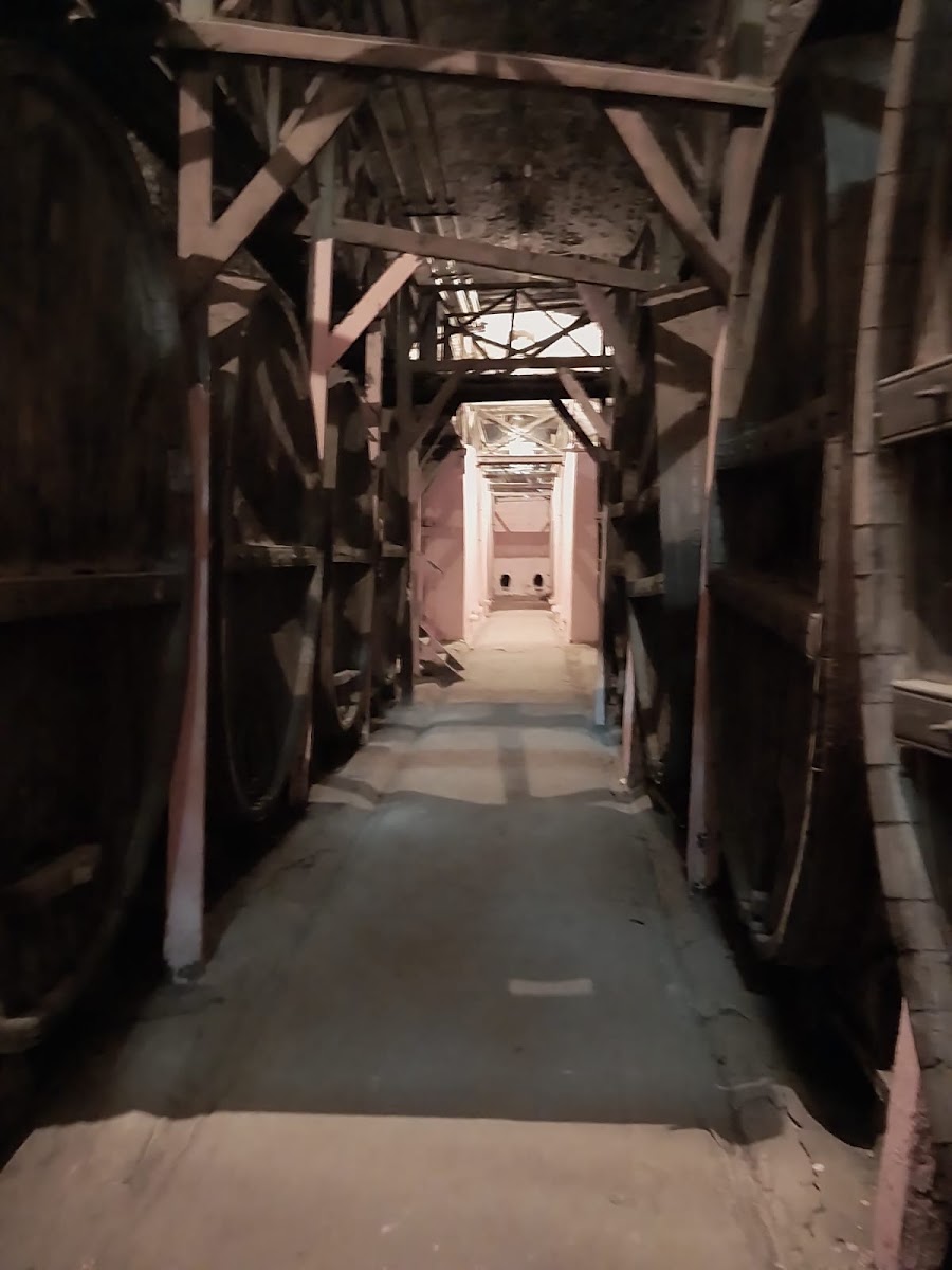 Traubenfeld Winery — photo