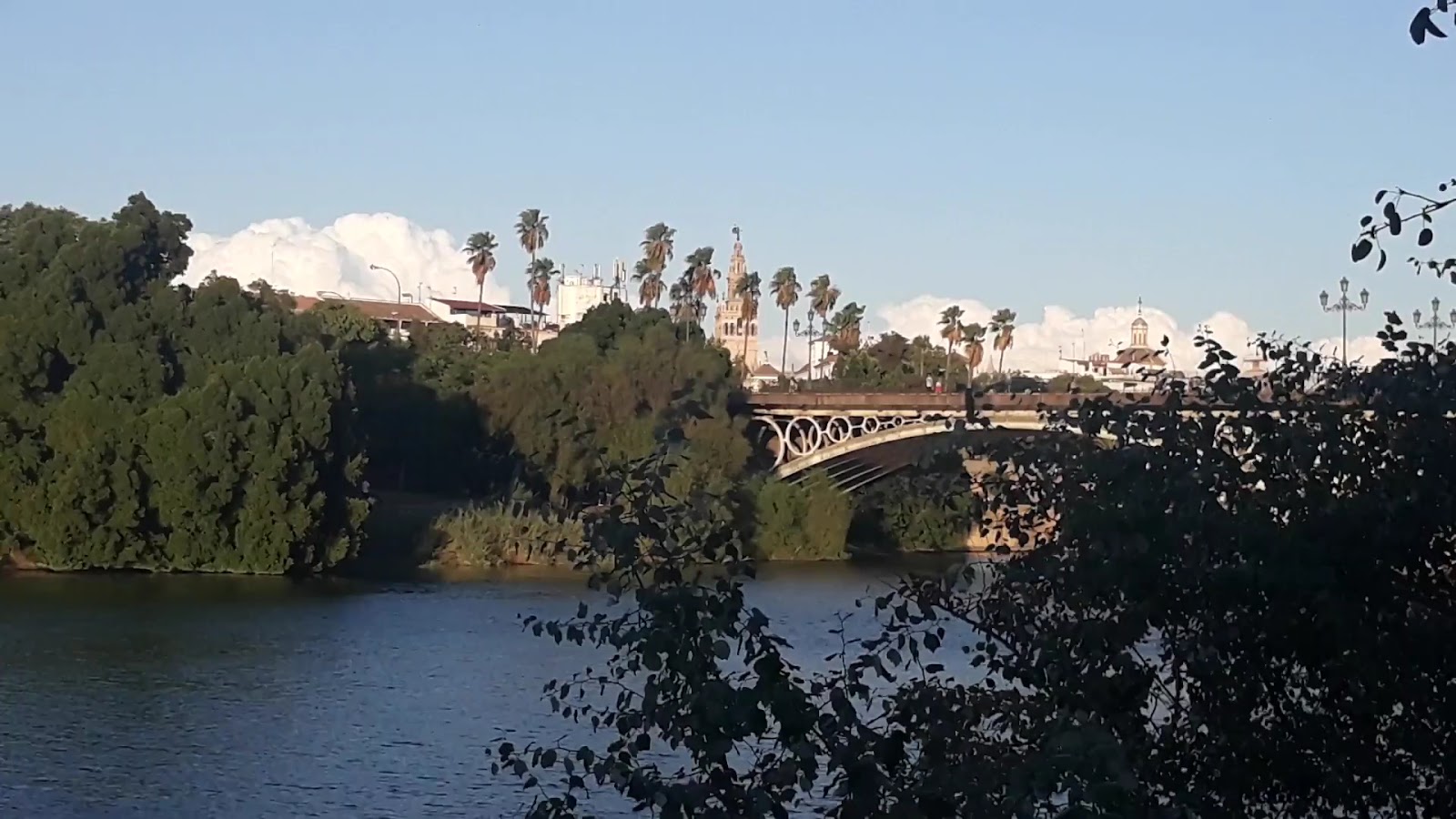 Triana — photo 3