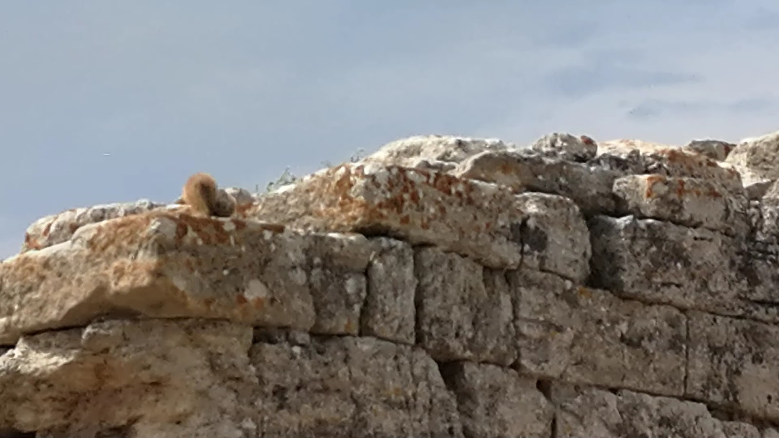 Troya Antik Kenti — fotoğraf 4