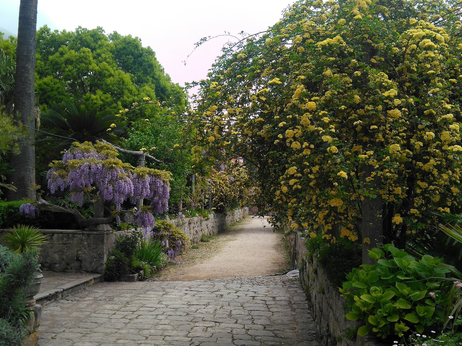 Trsteno Arboretum — photo 4
