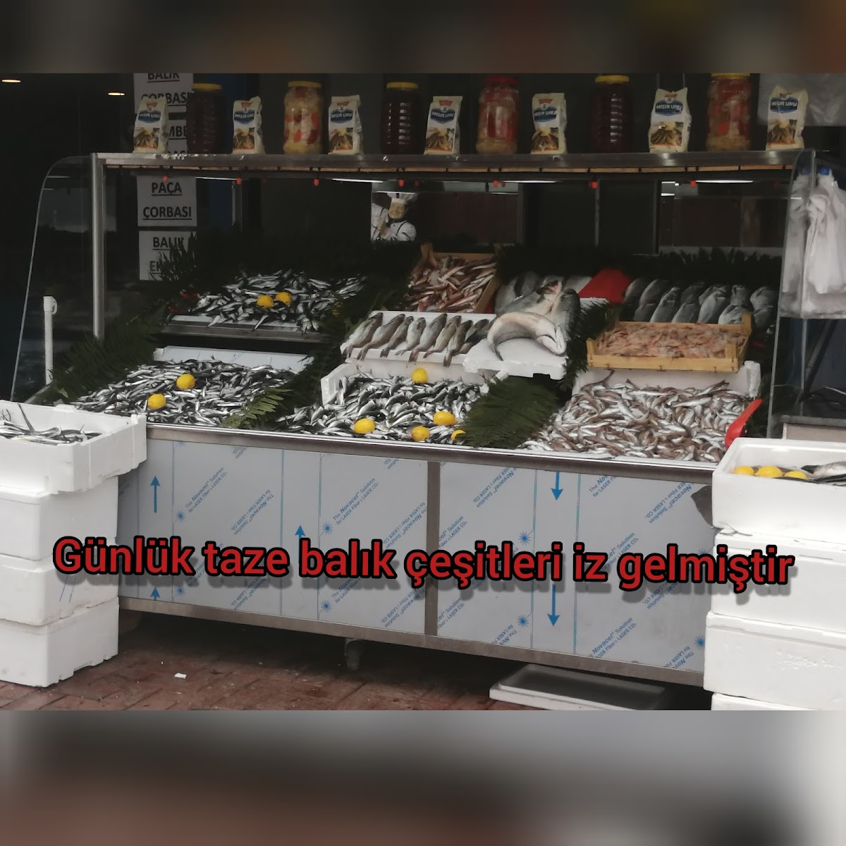 Tuana Balık Restaurant — fotoğraf 4
