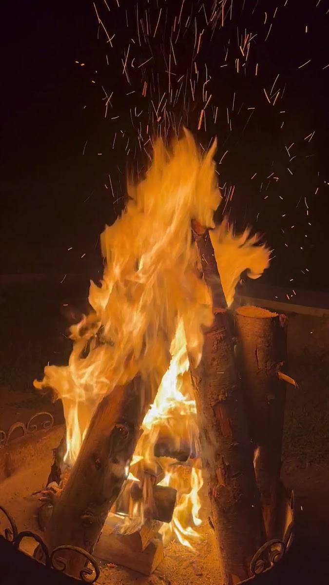 Tuğra Butik Otel — fotoğraf 3