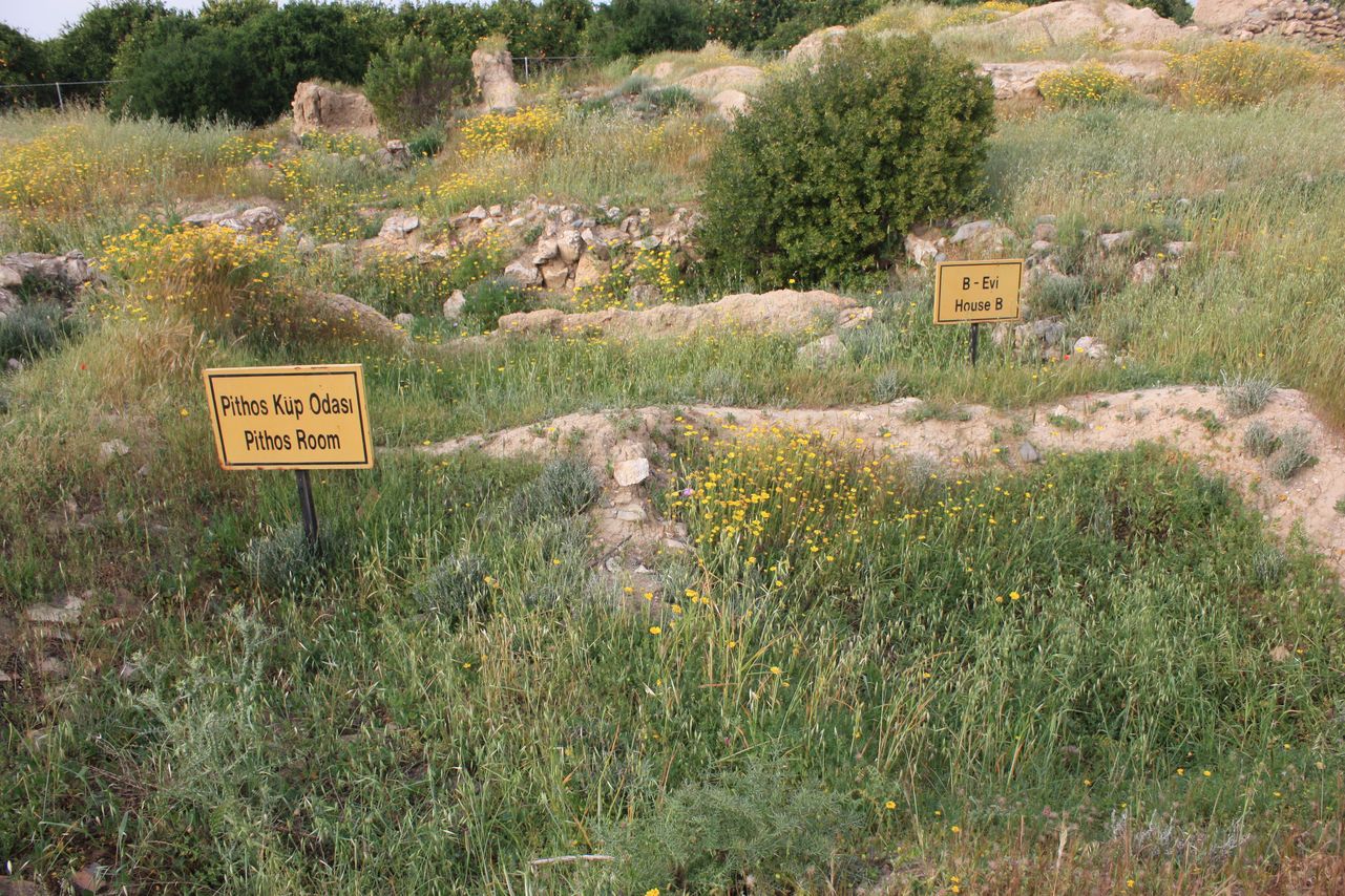 Tumba Tu Skuru Bronz Çağı Kasabası — photo 2