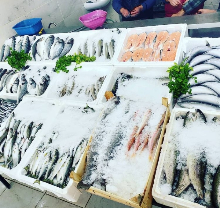Tuna Balıkçılık — fotoğraf 5