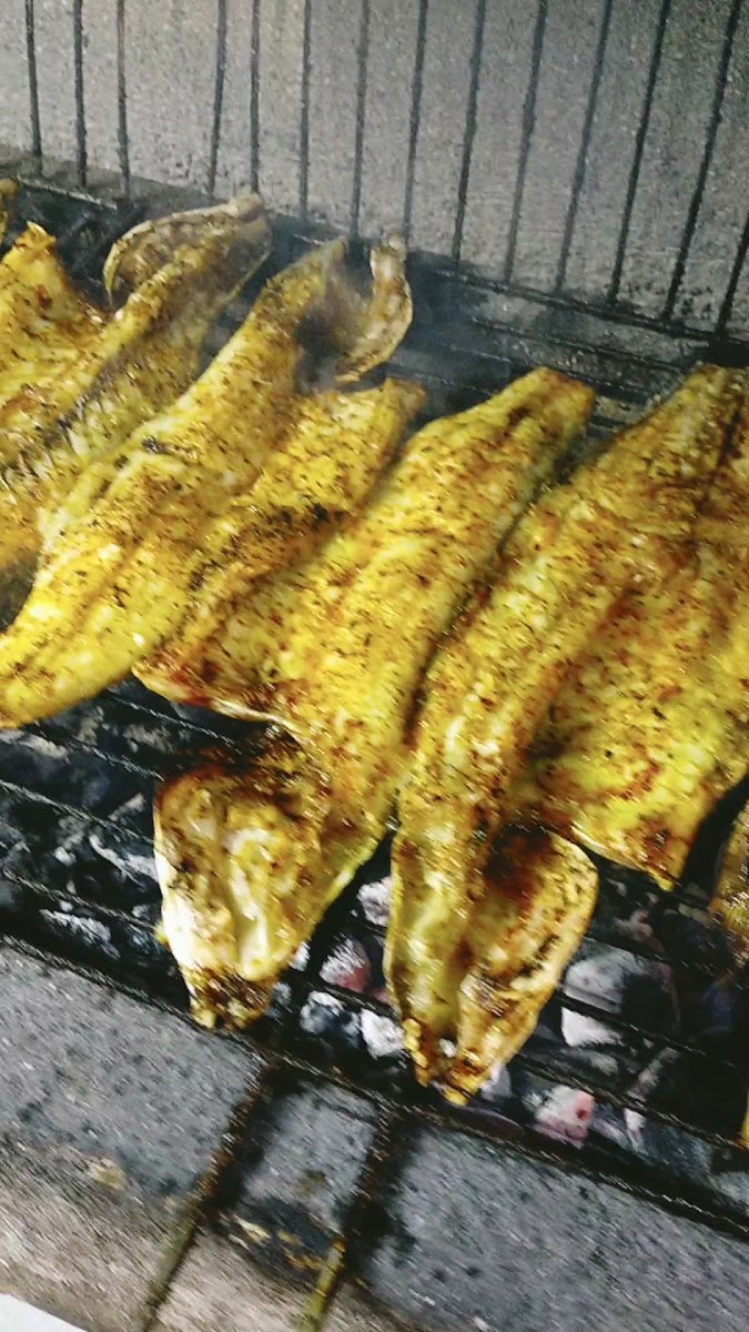 Tuna Balıkçılık — photo 7