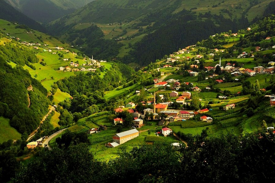 TUNÇ SÜTLAÇ - Hamsiköy Sütlacı — fotoğraf 8