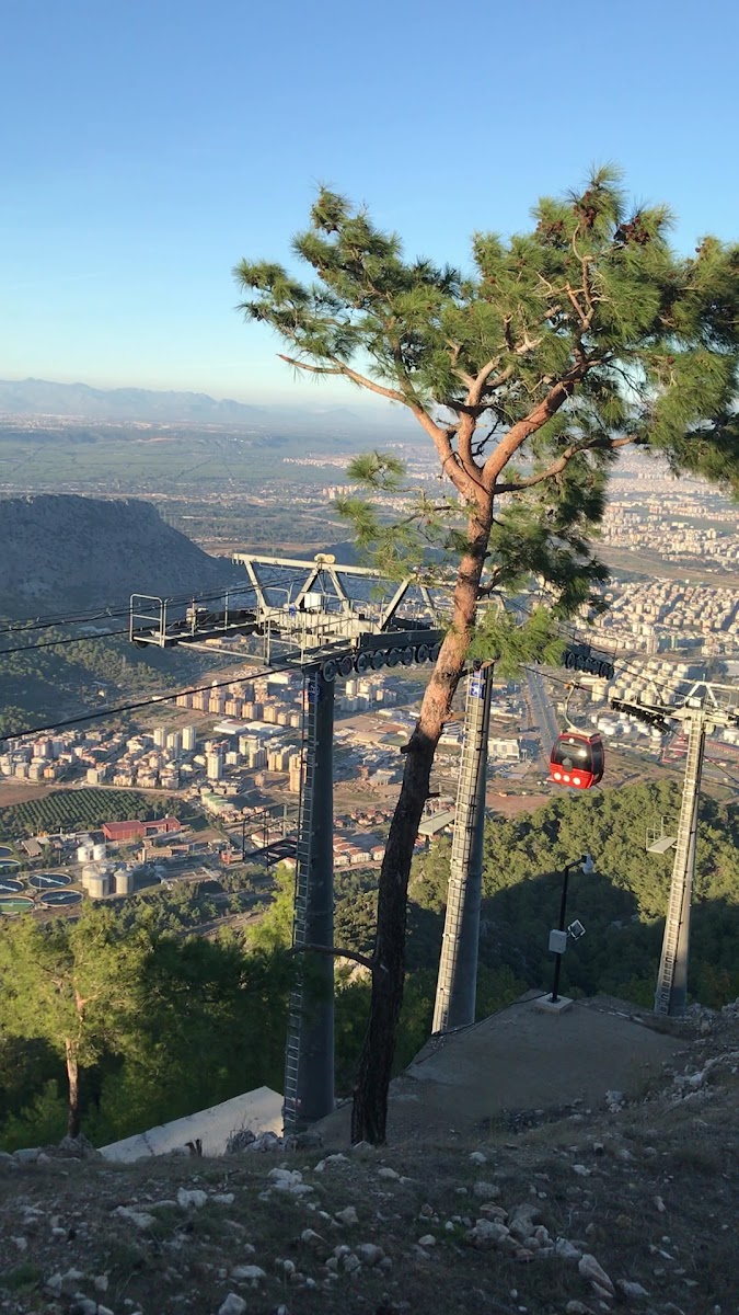 Tunektepe Teleferik Tesisi — photo 3